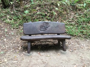 trailside bench